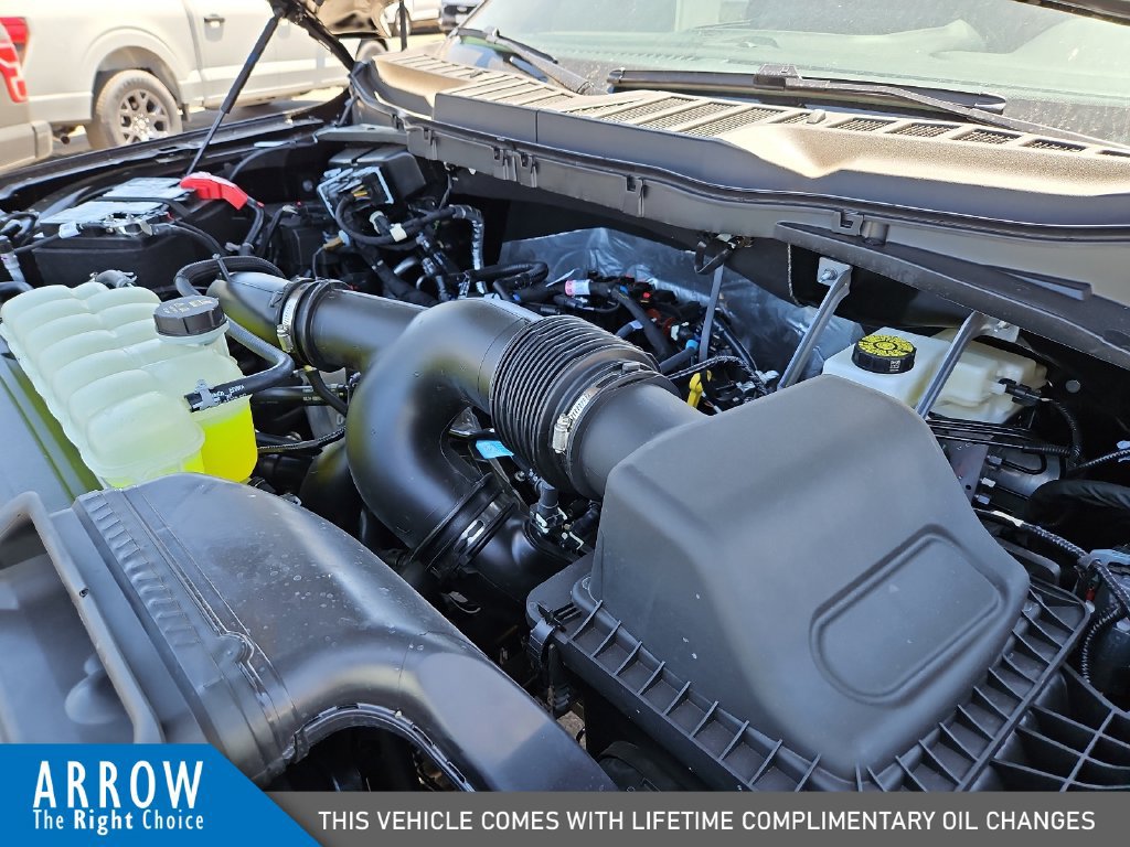 New 2026 Ford F150 STX w/ Equipment Group 200A RWD image 15