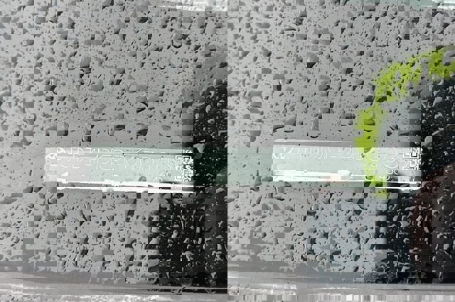 Certified 2023 Toyota Corolla XSE w/ Carpet Mat Package (TMS) image 5