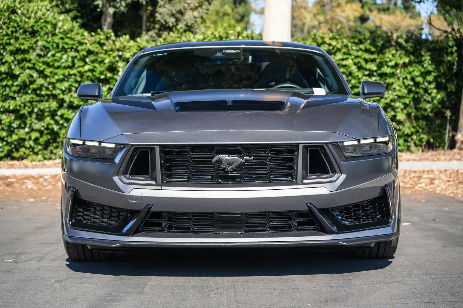 Used 2024 Ford Mustang Dark Horse RWD image 4