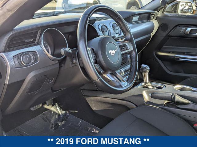 Used 2019 Ford Mustang EcoBoost w/ Equipment Group 101A image 12