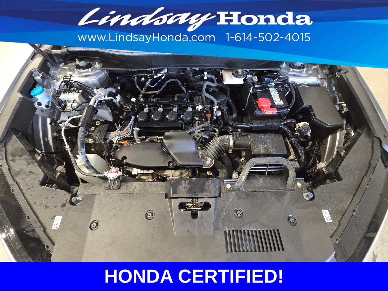 Certified 2024 Honda CR-V LX image 25