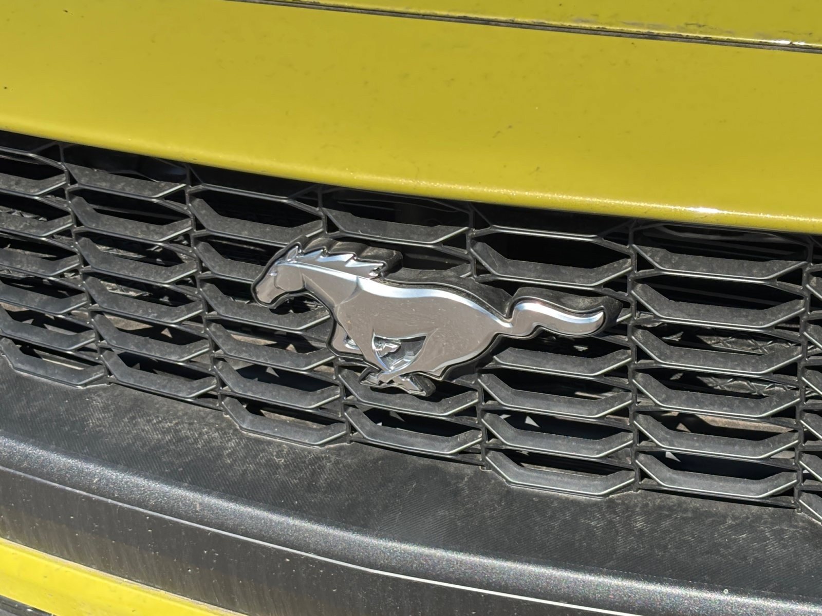 New 2025 Ford Mustang Premium RWD image 22