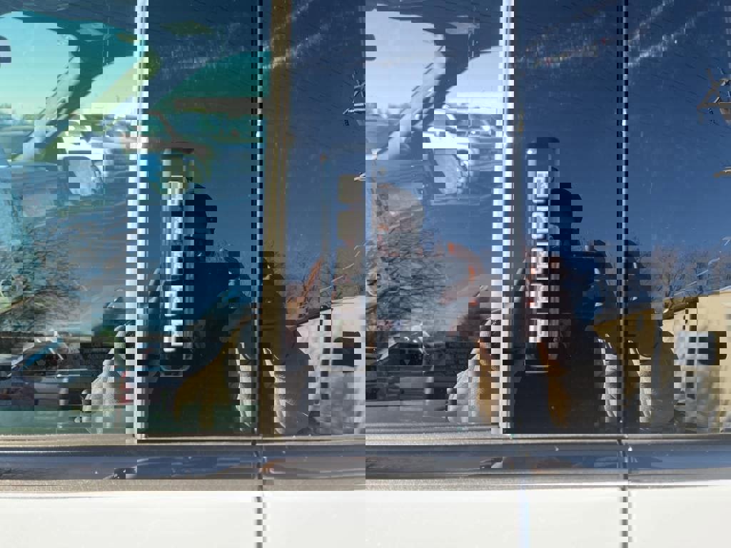 New 2023 Ford F150 Lightning Platinum image 11