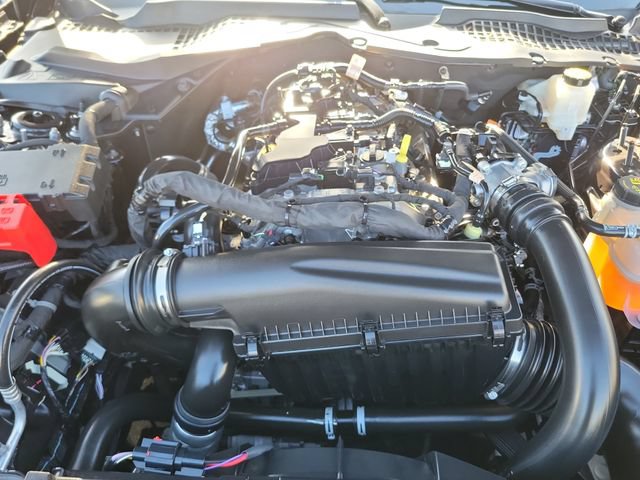 Certified 2024 Ford Mustang Coupe RWD image 21
