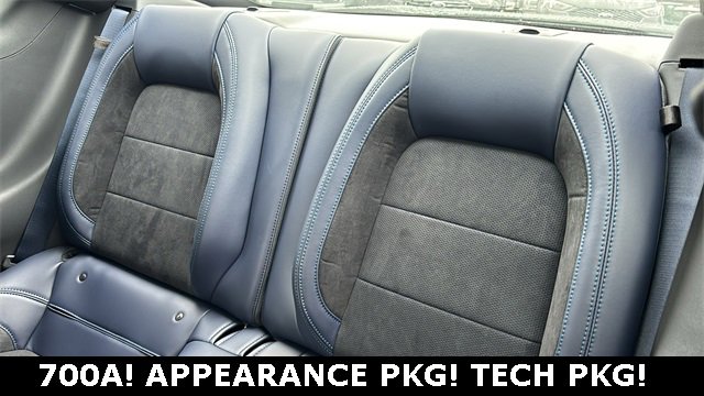 New 2025 Ford Mustang Dark Horse image 20