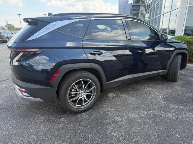 Used 2025 Hyundai Tucson Limited AWD/4WD image 3