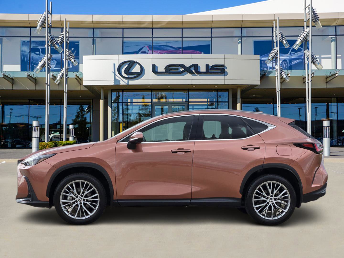 Used 2025 Lexus NX 350 AWD w/ Premium Package image 3