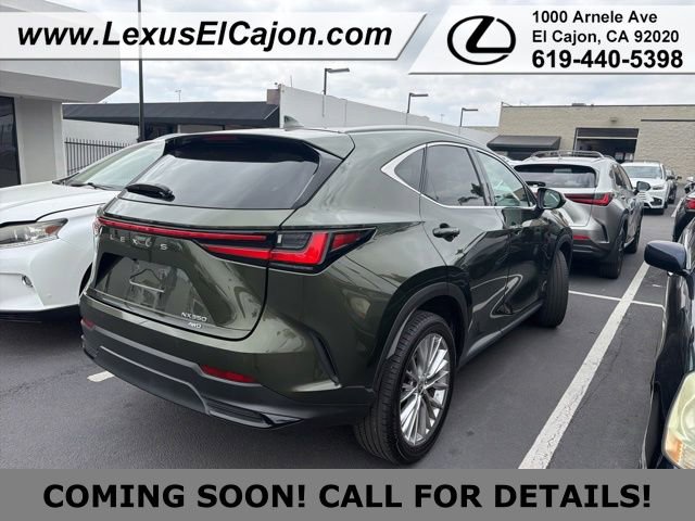 Used 2025 Lexus NX 350 AWD w/ Cold Area Package image 4