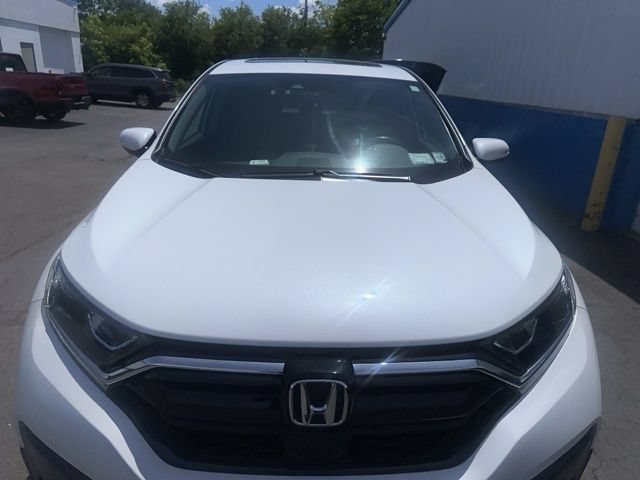 Used 2020 Honda CR-V EX-L image 3