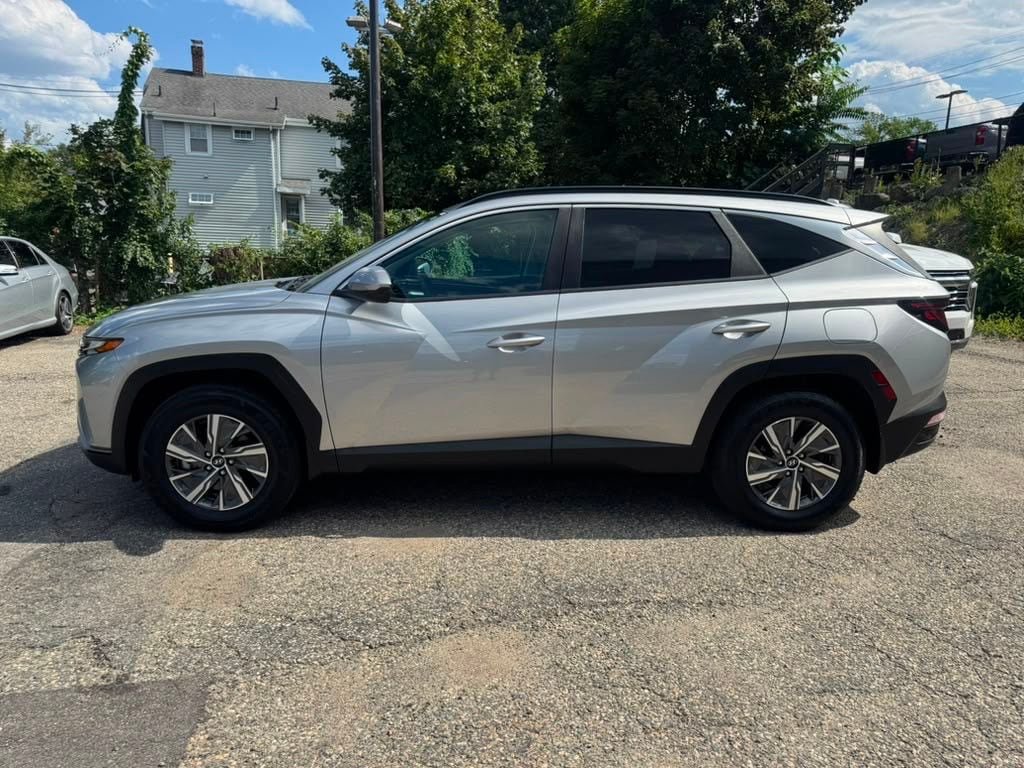 Used 2024 Hyundai Tucson Blue AWD/4WD image 3