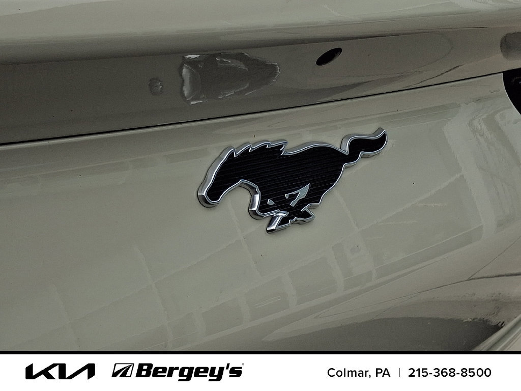 Used 2025 Ford Mustang Mach-E Premium AWD/4WD image 31