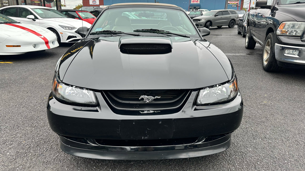 Used 2004 Ford Mustang GT Premium image 2