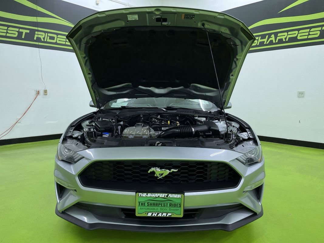 Used 2023 Ford Mustang Premium image 4