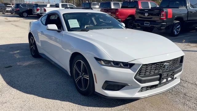 Used 2024 Ford Mustang Premium image 7