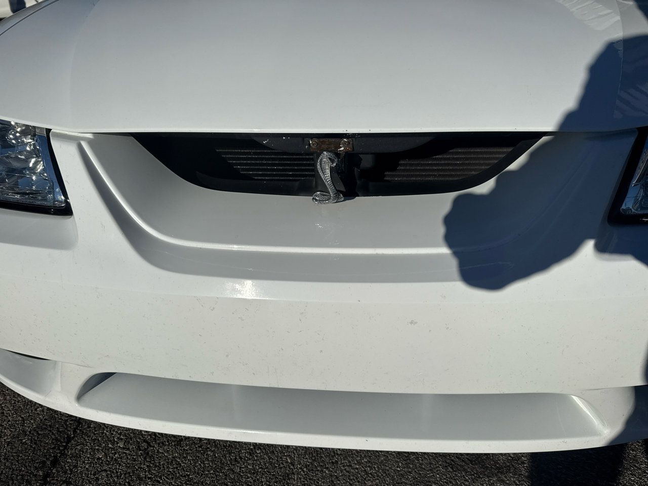 Used 1999 Ford Mustang Cobra image 14