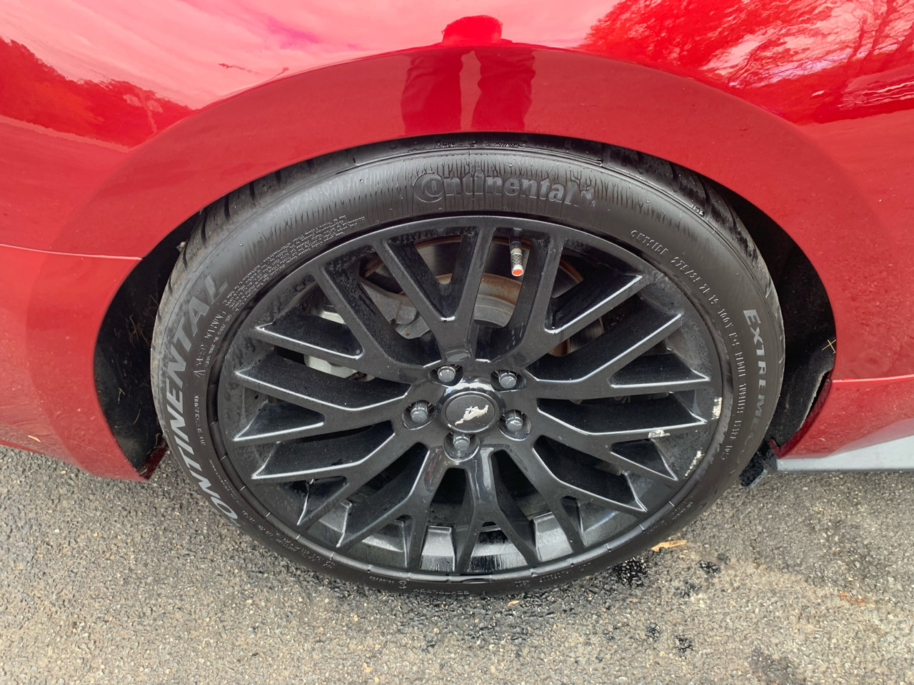 Used 2016 Ford Mustang GT w/ Enhanced Security Package image 18