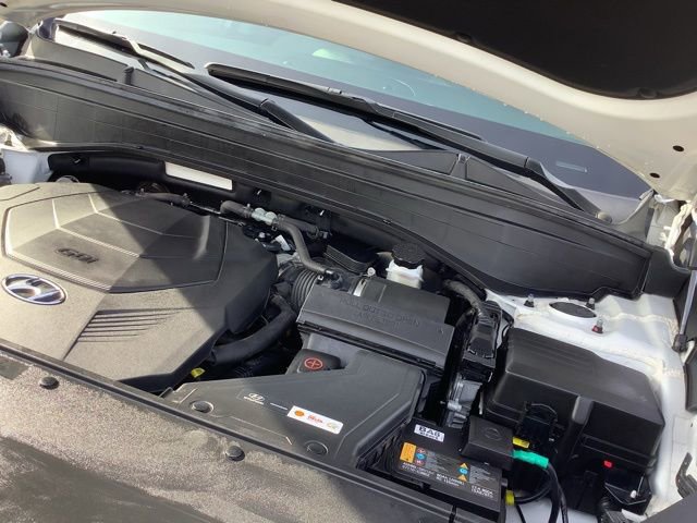 Used 2023 Hyundai Palisade SEL w/ Cargo Package image 14