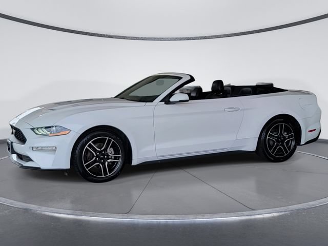 Used 2019 Ford Mustang Premium RWD image 5