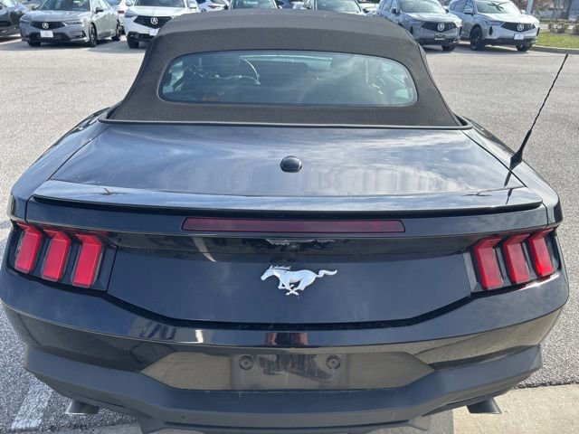 Used 2025 Ford Mustang Premium image 3