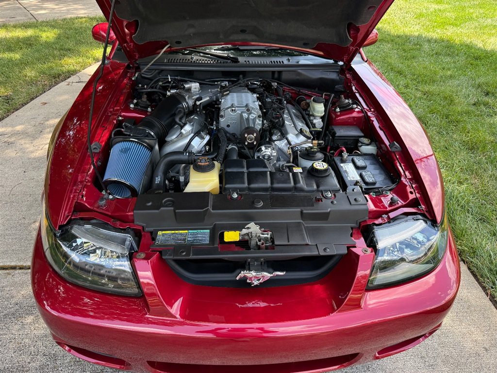 Used 2004 Ford Mustang Cobra RWD image 64