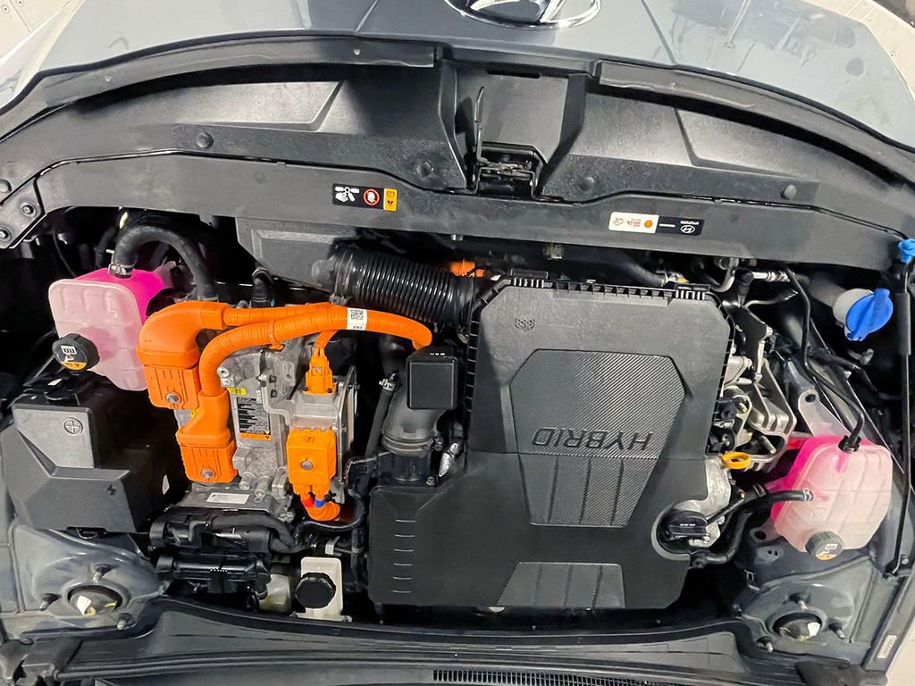 Used 2023 Hyundai Elantra Limited image 37