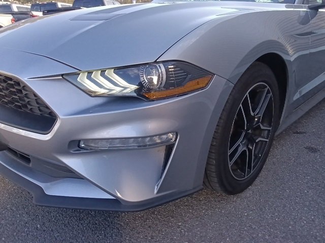 Used 2023 Ford Mustang Premium image 9