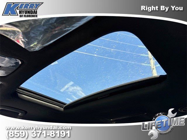 New 2026 Hyundai Palisade XRT Pro image 10