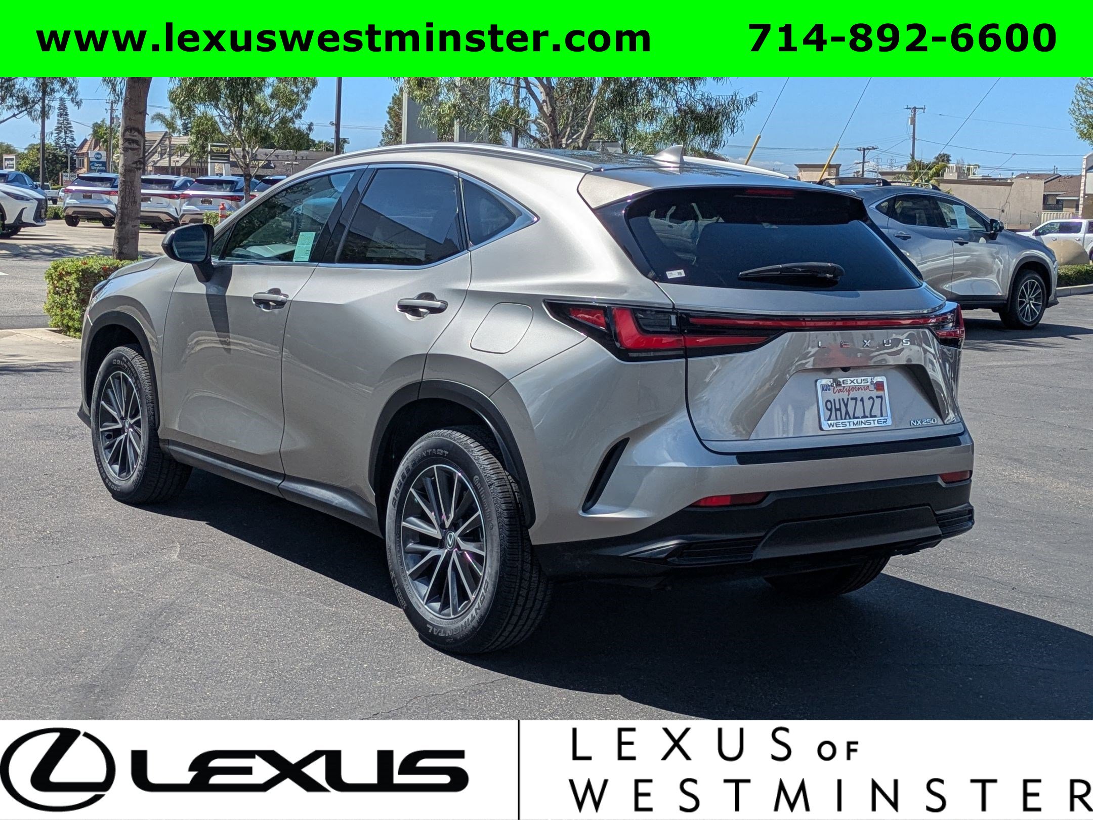Certified 2024 Lexus NX 250 FWD image 11