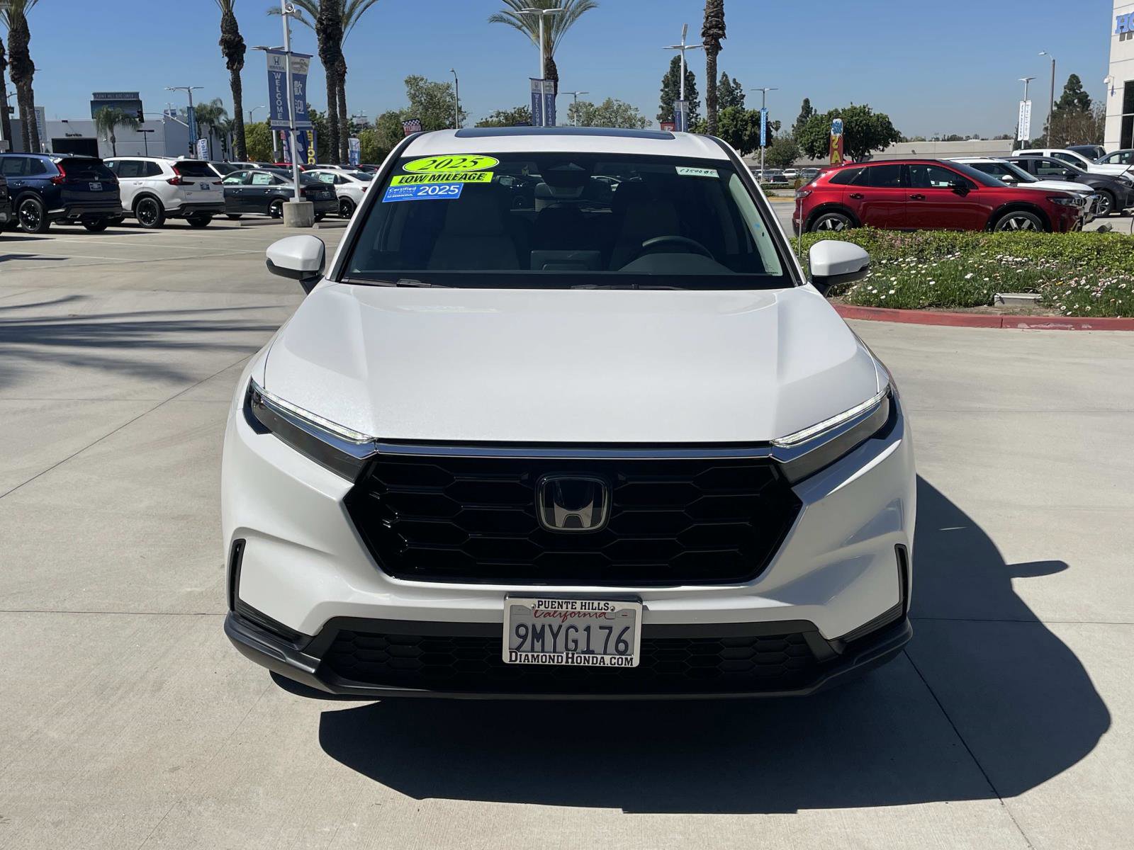 Certified 2025 Honda CR-V EX image 25