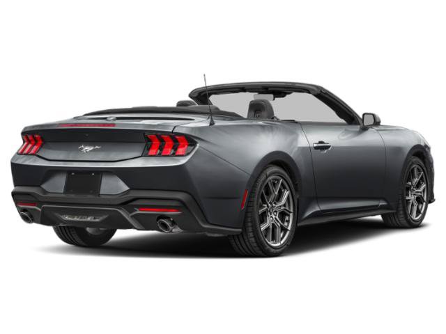 New 2026 Ford Mustang Convertible w/ Bronze Appearance Package RWD image 3