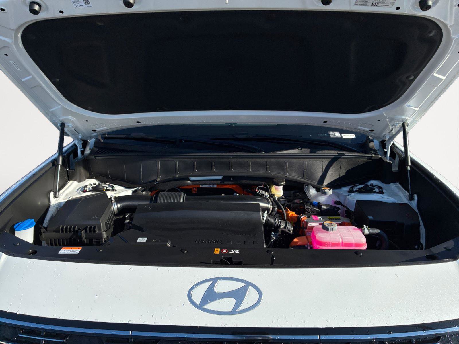 New 2026 Hyundai Palisade Calligraphy image 25