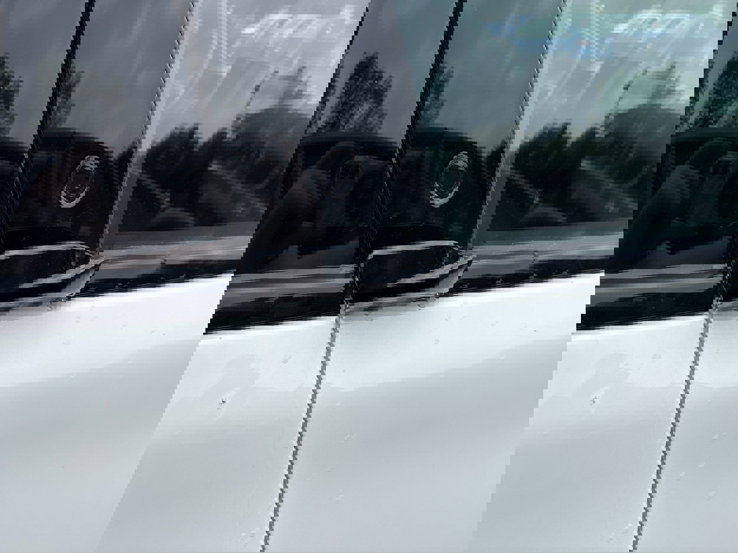 New 2025 Ford Mustang Mach-E GT w/ Interior Protection Package image 4