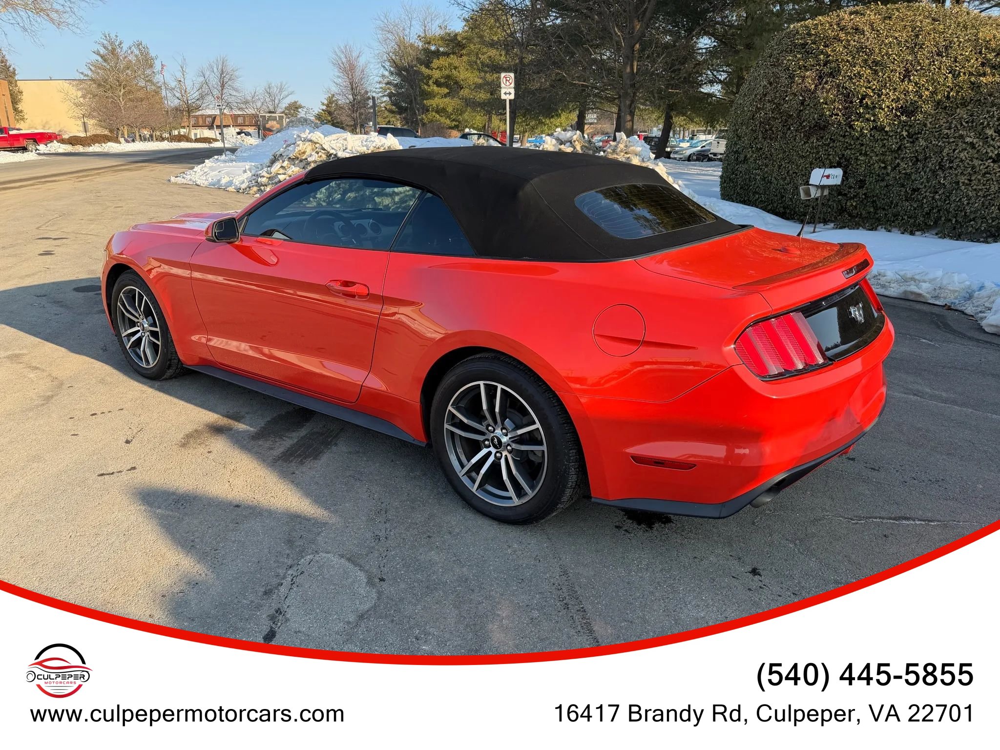 Used 2015 Ford Mustang Premium image 4