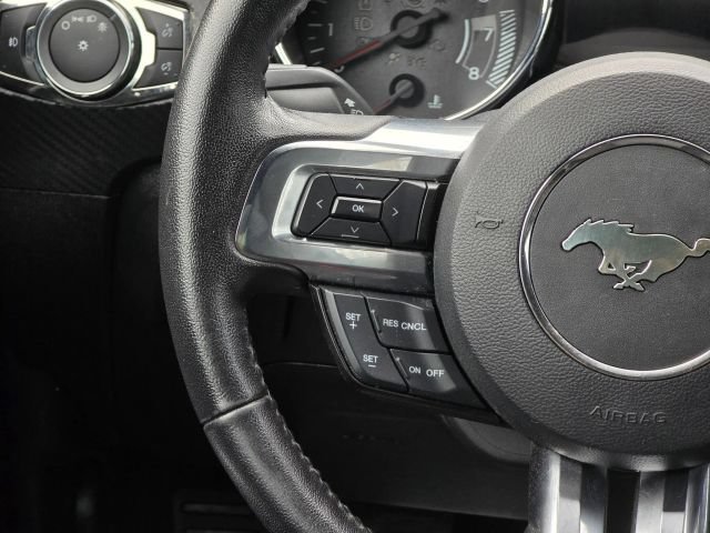 Used 2017 Ford Mustang Coupe w/ Equipment Group 051A RWD image 18