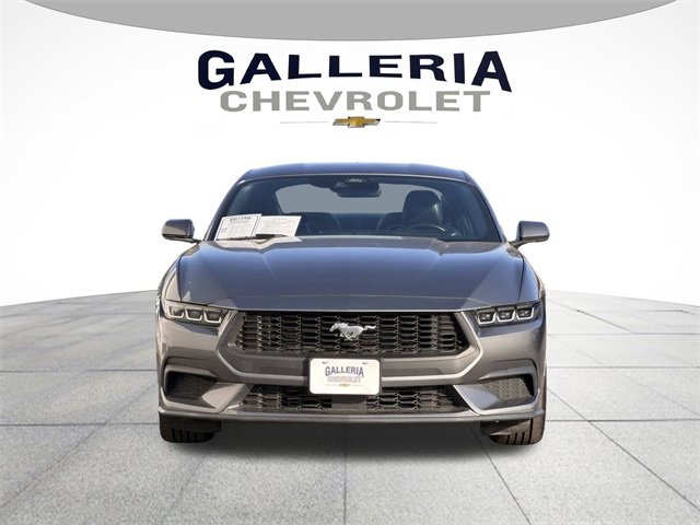 Used 2024 Ford Mustang Premium image 3