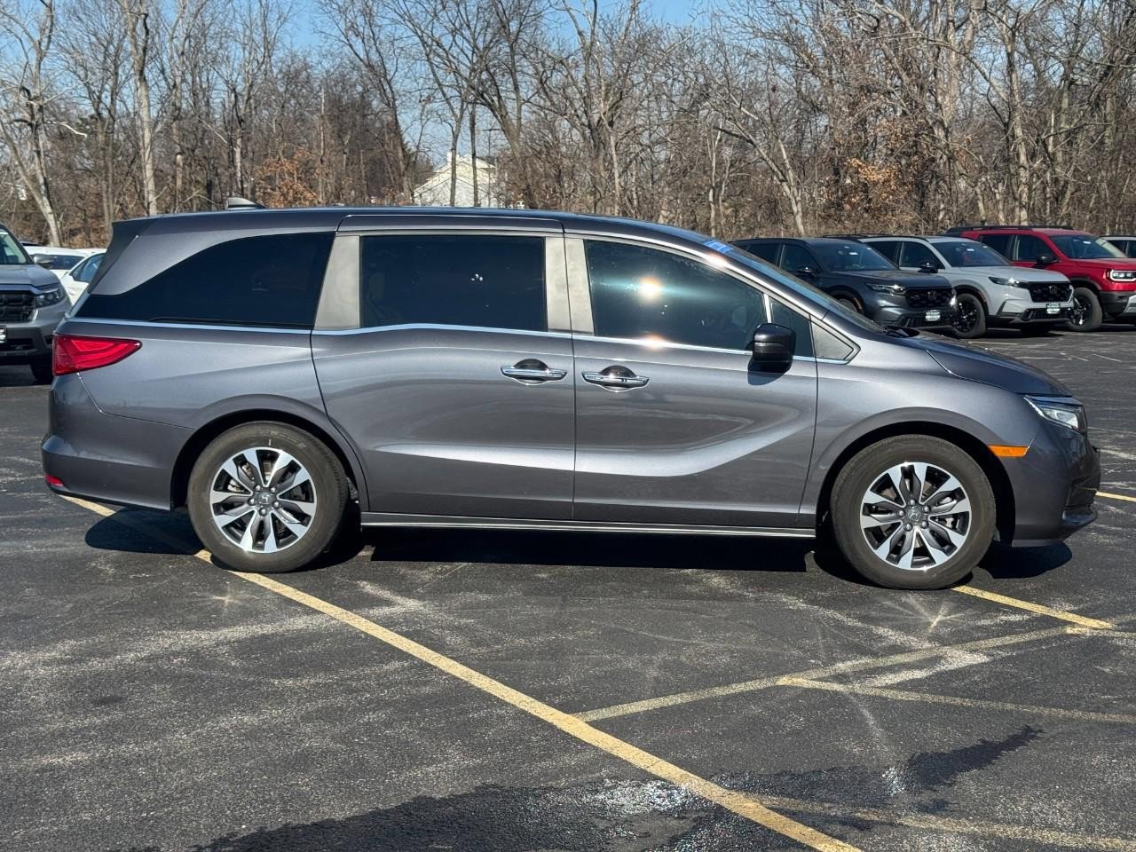Certified 2024 Honda Odyssey Elite image 3