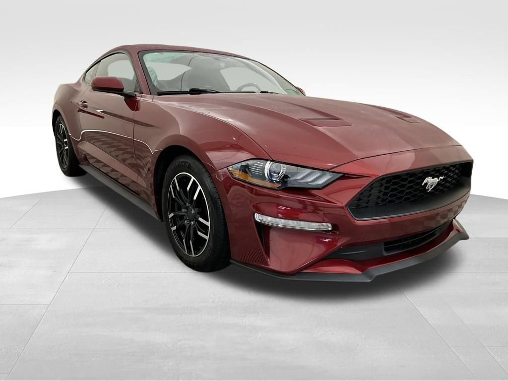 Used 2019 Ford Mustang EcoBoost image 8