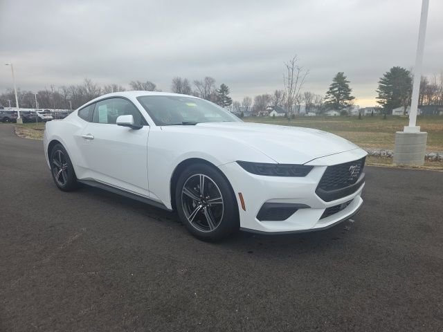 Used 2025 Ford Mustang Premium RWD image 1