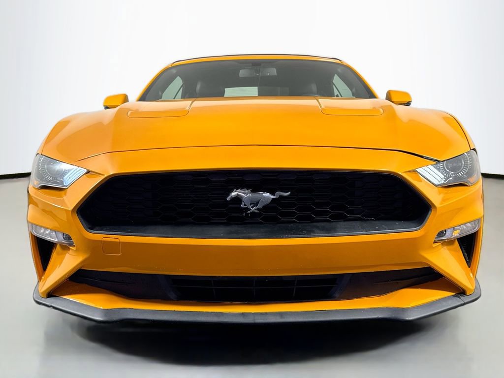 Used 2018 Ford Mustang Premium w/ Equipment Group 201A image 2