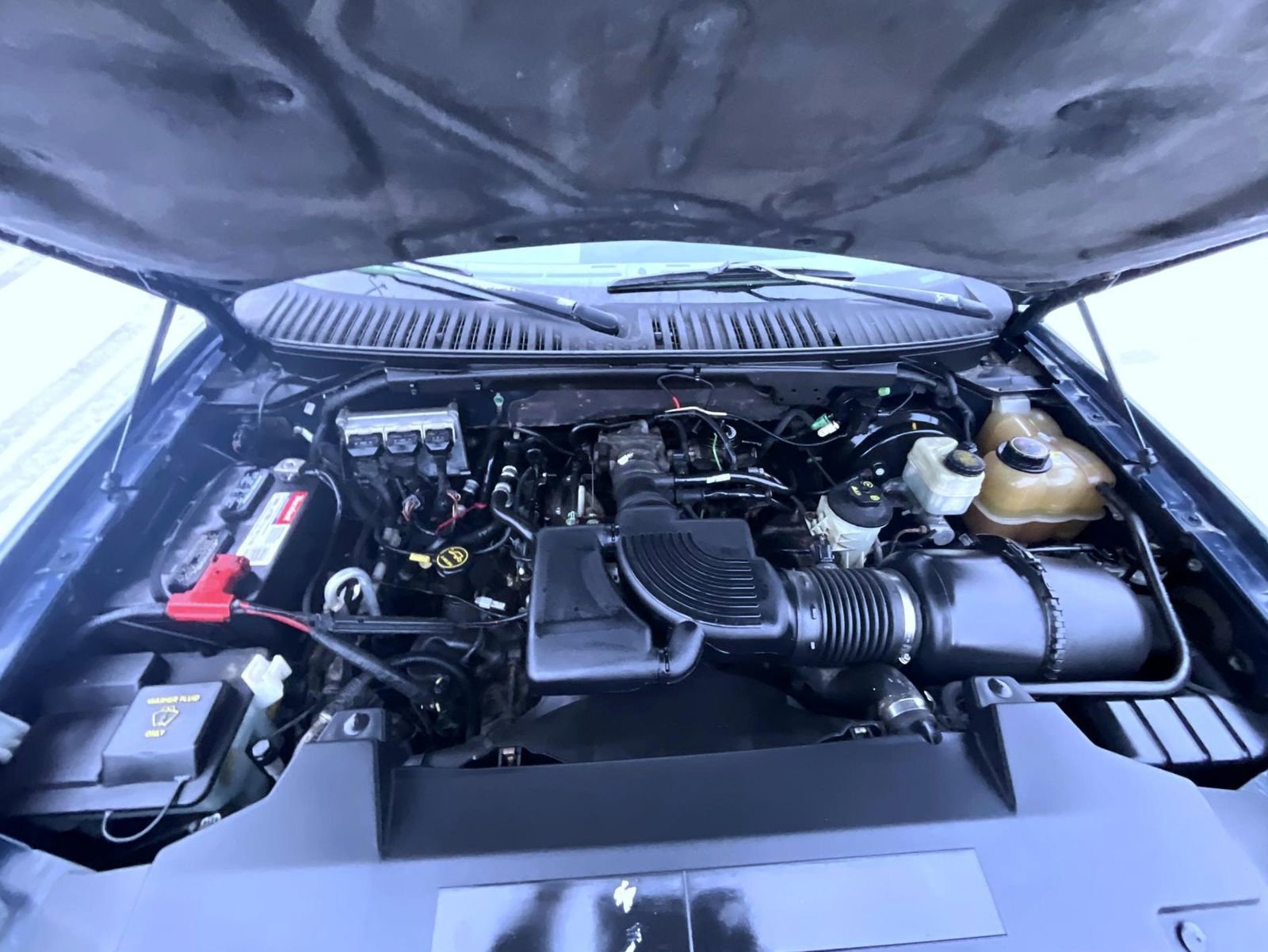 Used 2004 Ford Expedition Eddie Bauer image 26