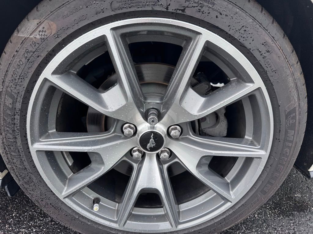 Used 2015 Ford Mustang 50 Years RWD image 28