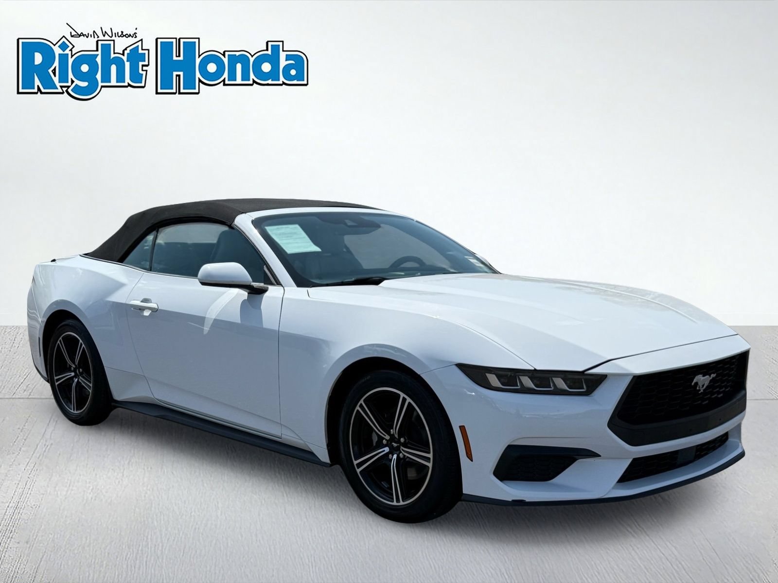 Used 2024 Ford Mustang Premium RWD image 10