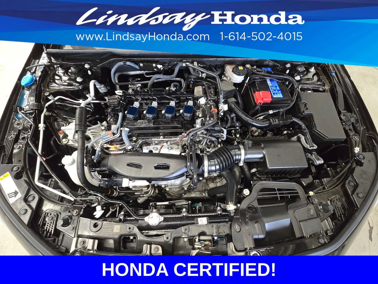 Used 2026 Honda Civic Si image 25