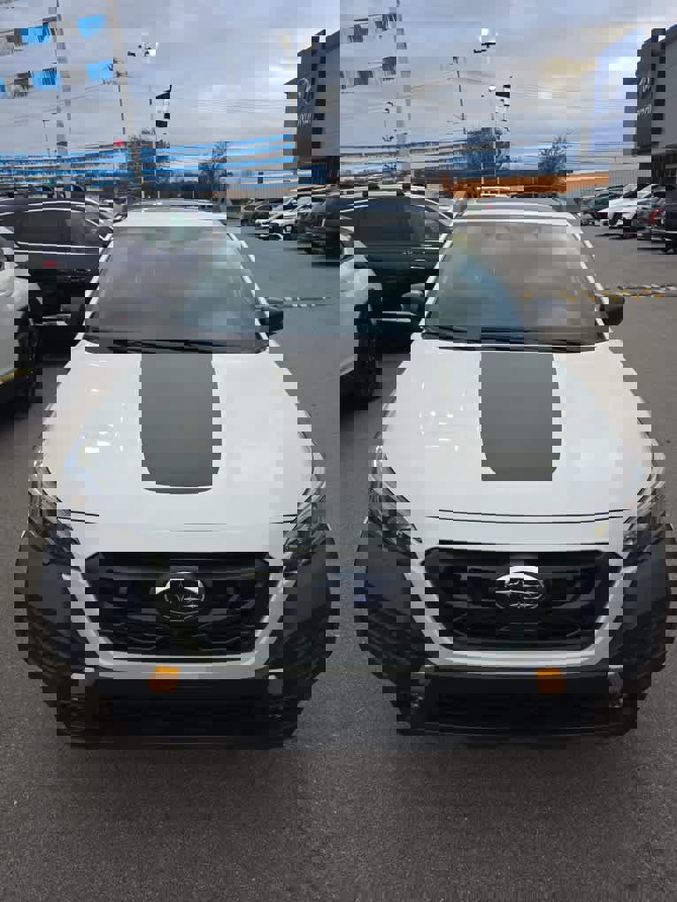 Used 2024 Subaru Outback Wilderness image 1