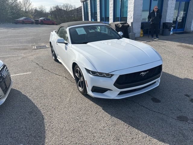 Used 2024 Ford Mustang Premium RWD image 3