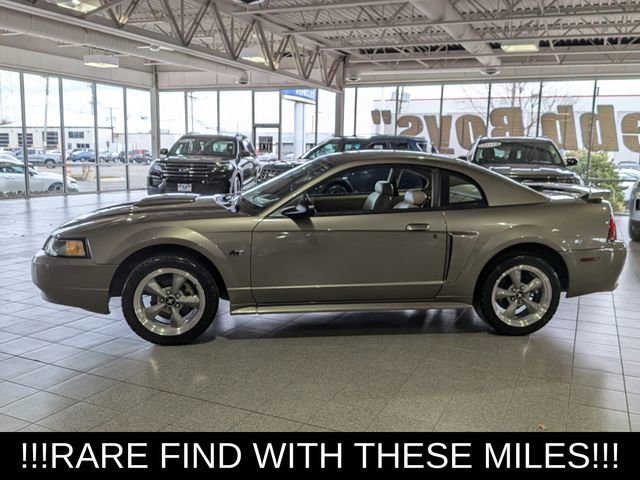 Used 2001 Ford Mustang GT image 5