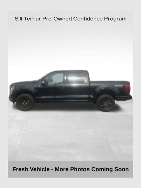 Used 2025 Ford F150 Platinum image 1