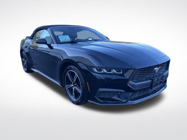 Used 2025 Ford Mustang Premium image 8