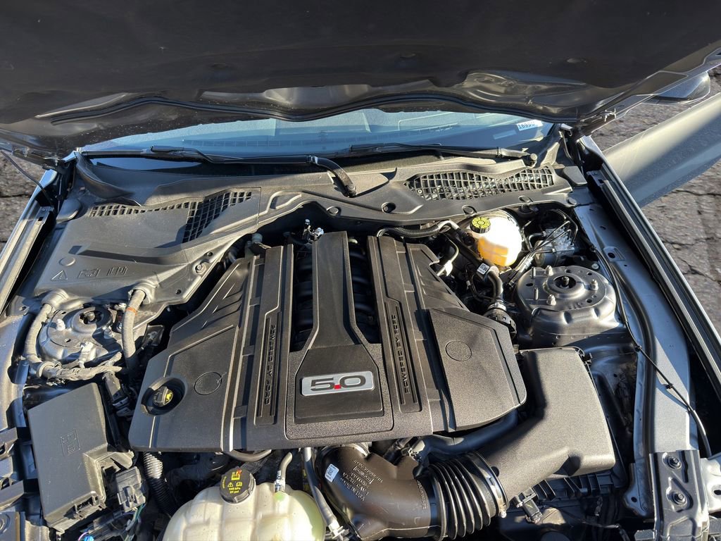 Used 2023 Ford Mustang GT w/ Equipment Group 301A RWD image 18