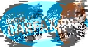 Used 2015 Nissan Altima 2.5 SV image 21